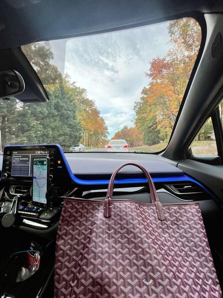 Tntwear - GOYARD BAG - 194