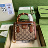 sneakerland- Luxury Bag - 161 - tntwear1
